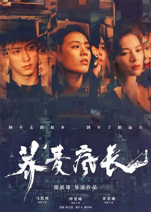 圣康丁昂伊夫利纳-凡尔赛大学 Sociological degree